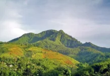 Gunung Mangtajung: Petualangan Eksotis di Tengah Hutan Tropis Gunung Mangtajung