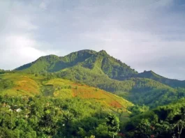 Gunung Mangtajung: Petualangan Eksotis di Tengah Hutan Tropis Gunung Mangtajung