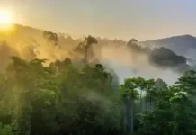 Gunung Melihat: Pesona Alam yang Memukau Gunung Melihat