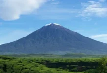 Gunung Mesangat: Keindahan Alam dan Petualangan Gunung Mesangat