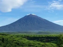 Gunung Mesangat: Keindahan Alam dan Petualangan Gunung Mesangat