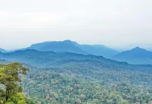 Gunung Niut: Menyusuri Keindahan Alam Gunung Niut