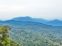 Gunung Niut: Menyusuri Keindahan Alam Gunung Niut