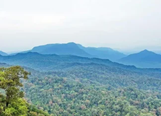 Gunung Niut: Menyusuri Keindahan Alam Gunung Niut
