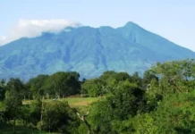 Gunung Palung: Petualangan di Jantung Hutan Tropis Gunung Palung