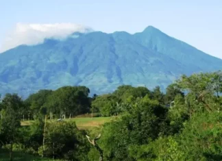 Gunung Palung