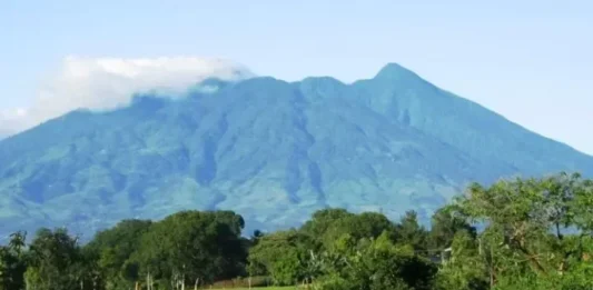 Gunung Palung: Petualangan di Jantung Hutan Tropis Gunung Palung