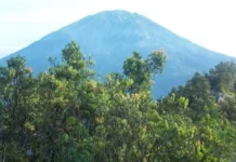 Gunung Pangilingin: Petualangan di Jantung Hutan Tropis Gunung Pangilingin