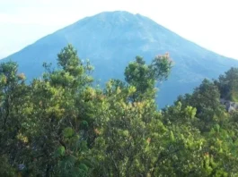 Gunung Pangilingin: Petualangan di Jantung Hutan Tropis Gunung Pangilingin