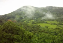 Gunung Panjang: Tantangan di Tengah Hutan Tropis Gunung Panjang