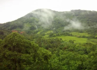 Gunung Panjang: Tantangan di Tengah Hutan Tropis Gunung Panjang
