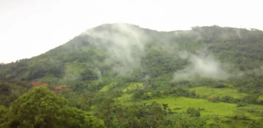 Gunung Panjang: Tantangan di Tengah Hutan Tropis Gunung Panjang