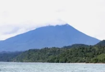 Gunung Piyabung: Menyelami Keindahan di Tengah Hutan Tropis Gunung Piyabung