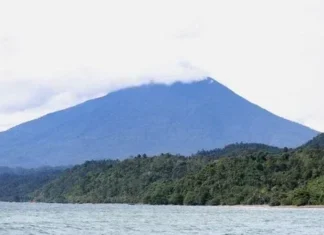Gunung Piyabung: Menyelami Keindahan di Tengah Hutan Tropis Gunung Piyabung