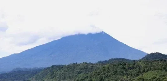 Gunung Piyabung: Menyelami Keindahan di Tengah Hutan Tropis Gunung Piyabung