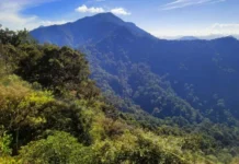 Gunung Rorokoan: Menaklukkan Puncak Hutan Tropis Gunung Rorokoan