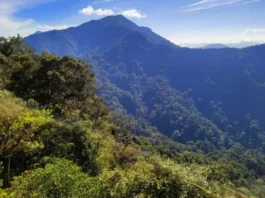 Gunung Rorokoan: Menaklukkan Puncak Hutan Tropis Gunung Rorokoan