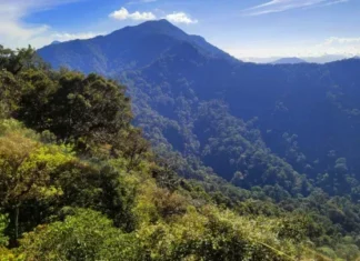 Gunung Rorokoan