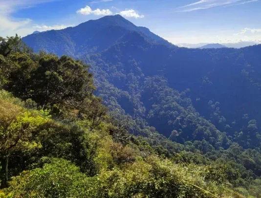 Gunung Rorokoan: Menaklukkan Puncak Hutan Tropis Gunung Rorokoan