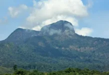 Gunung Saran: Eksplorasi Alam di Jantung Pulau Borneo Gunung Saran