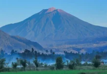 Gunung Sarempaka: Keindahan Alam di Hutan Tropis Gunung Sarempaka