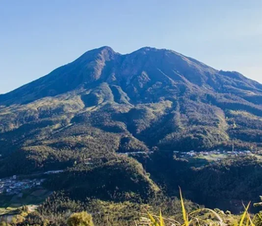 Gunung Suwaran: Eksplorasi Alam yang Menawan Gunung Suwaran