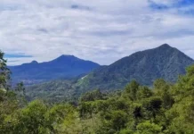 Gunung Tambakruyung: Permata Tersembunyi di Jawa Tengah Gunung Tambakruyung
