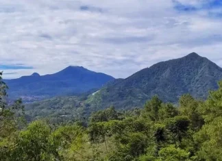 Gunung Tambakruyung: Permata Tersembunyi di Jawa Tengah Gunung Tambakruyung