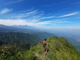 Gunung Tanggung: Pesona Tersembunyi di Jawa Timur Gunung Tanggung