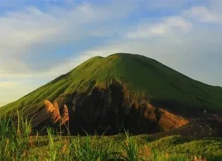 Gunung Tanjaknangsi: Pesona Alami di Jawa Barat Gunung Tanjaknangsi