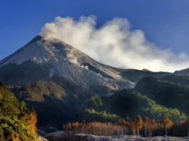 Gunung Wagir Jampang: Keindahan Alam di Jawa Tengah Gunung Wagir Jampang