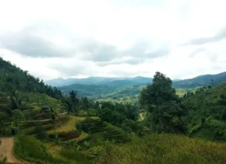 Pegunungan Bayah: Permata Tersembunyi di Banten Pegunungan Bayah