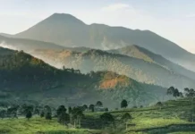 Pegunungan Bogor