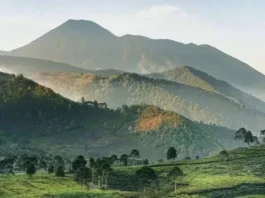 Pegunungan Bogor