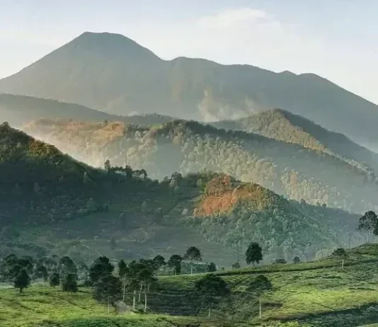 Pegunungan Bogor