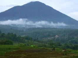 Gunung Batukaru Permata Tersembunyi di Bali Gunung Batukaru