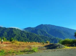 Gunung Bonggolo Sapi Surga Pendakian yang Terlupakan Gunung Bonggolo Sapi