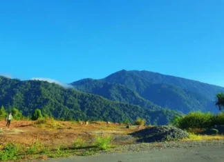 Gunung Bonggolo Sapi Surga Pendakian yang Terlupakan Gunung Bonggolo Sapi