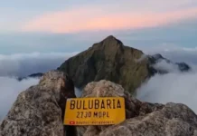 Gunung Bulu Baria Menaklukkan Puncak Terindah di Sulawesi Gunung Bulu Baria