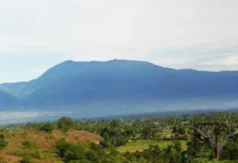 Gunung Gawalise Petualangan di Tengah Keindahan Alam Gunung Gawalise
