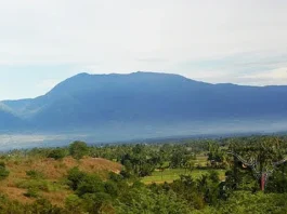 Gunung Gawalise Petualangan di Tengah Keindahan Alam Gunung Gawalise