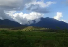 Gunung Koyakoya