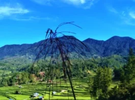 Gunung Mambuliling Keindahan Tersembunyi di Sulawesi Gunung Mambuliling