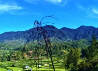 Gunung Mambuliling Keindahan Tersembunyi di Sulawesi Gunung Mambuliling