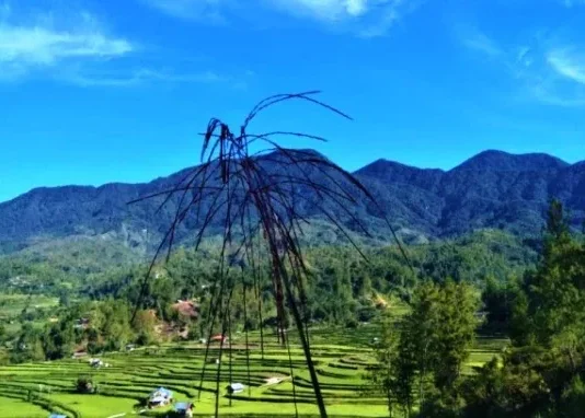 Gunung Mambuliling Keindahan Tersembunyi di Sulawesi Gunung Mambuliling