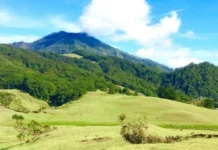 Gunung Mutis