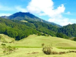 Gunung Mutis
