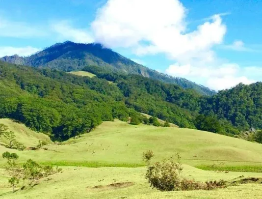 Gunung Mutis Puncak Tertinggi Pulau Timor Gunung Mutis