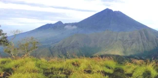 Gunung Nangi