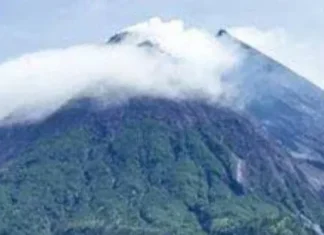 Gunung Nokilalaki Panduan Lengkap untuk Pendaki Gunung Nokilalaki